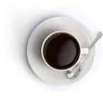 Best book writing compnay in USA